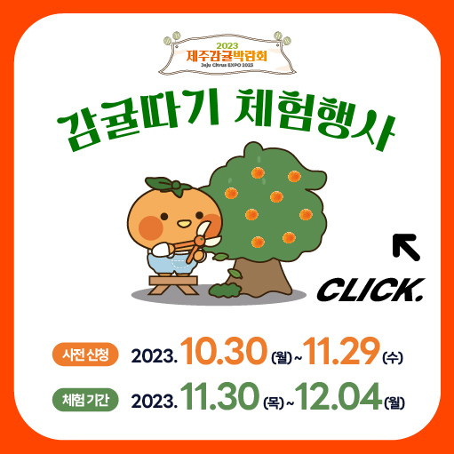 감귤따기 체험