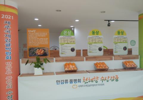 2021 만감류품평회 수상감귤 전시
